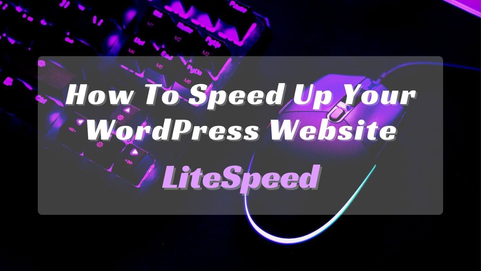 How To Speed Up Your WordPress Website - LiteSpeed