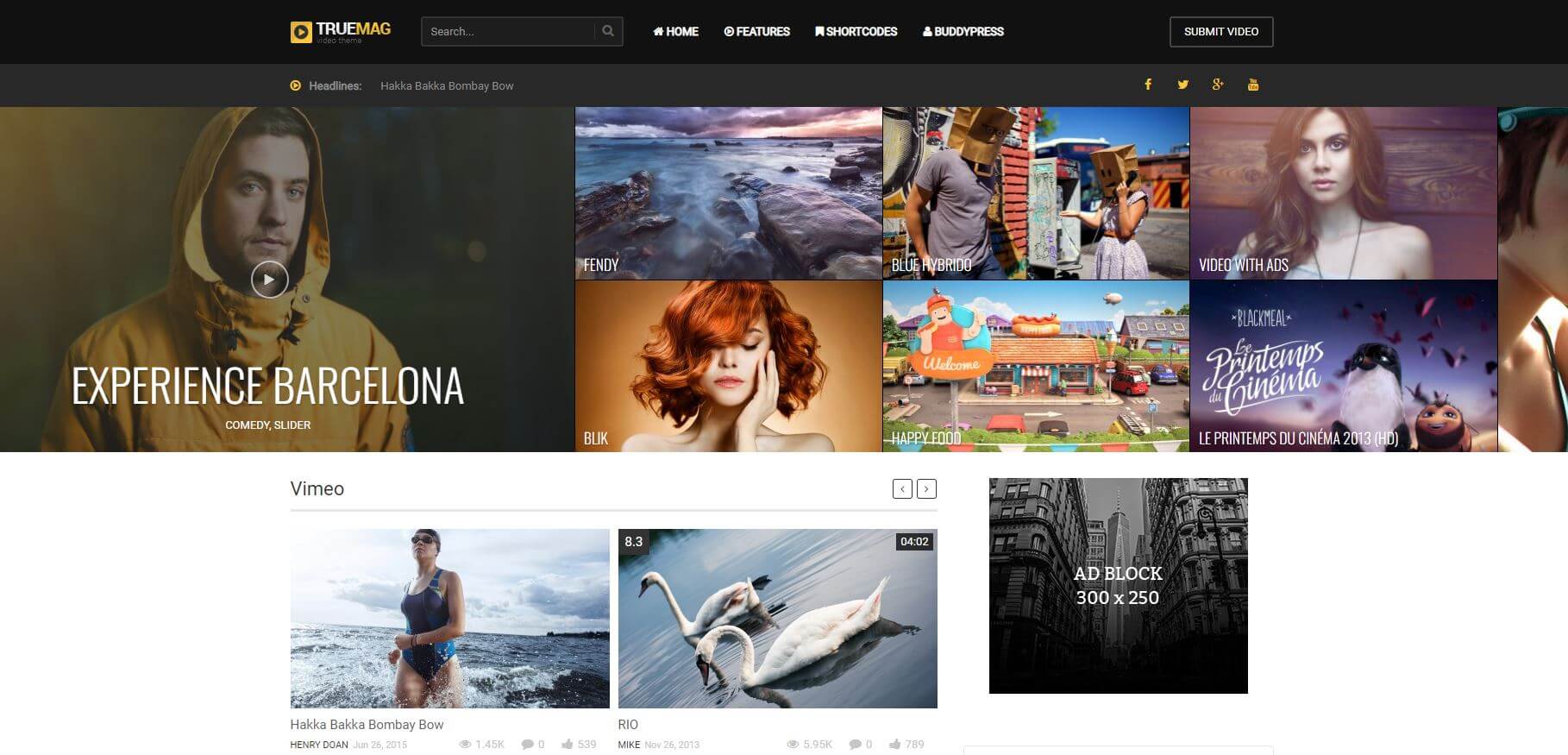 True Mag Theme — WordPress Video Themes|YuanJhen blog