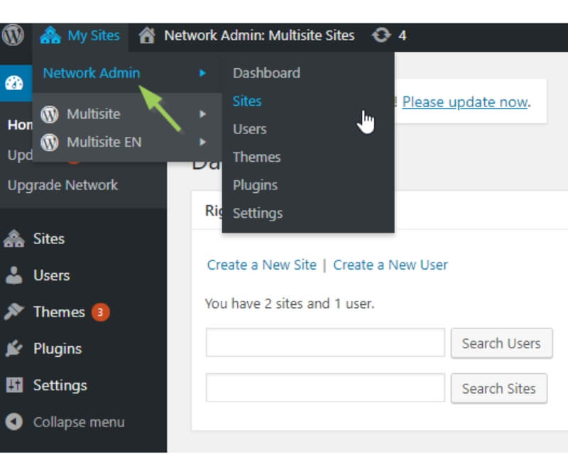 Network Administrator WordPress Multisite 